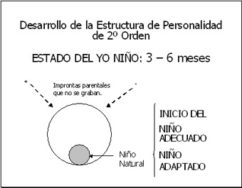 FIGURA 3:  Estado del yo Niño (3-6 meses), 'Niño natural'